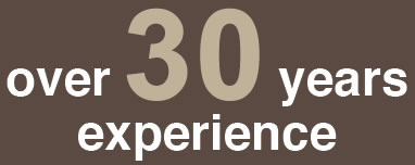 Bridge of Allan Stone - Over 30 years of experience